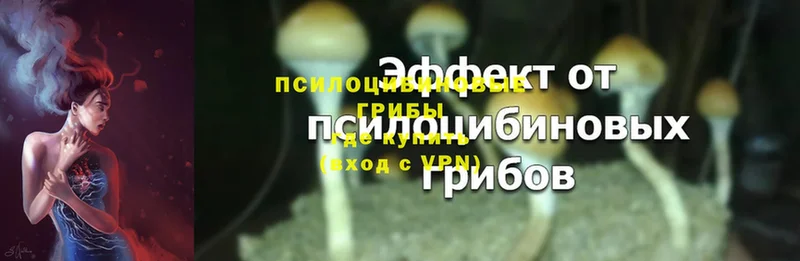 Галлюциногенные грибы Magic Shrooms  купить наркотики цена  Рославль 